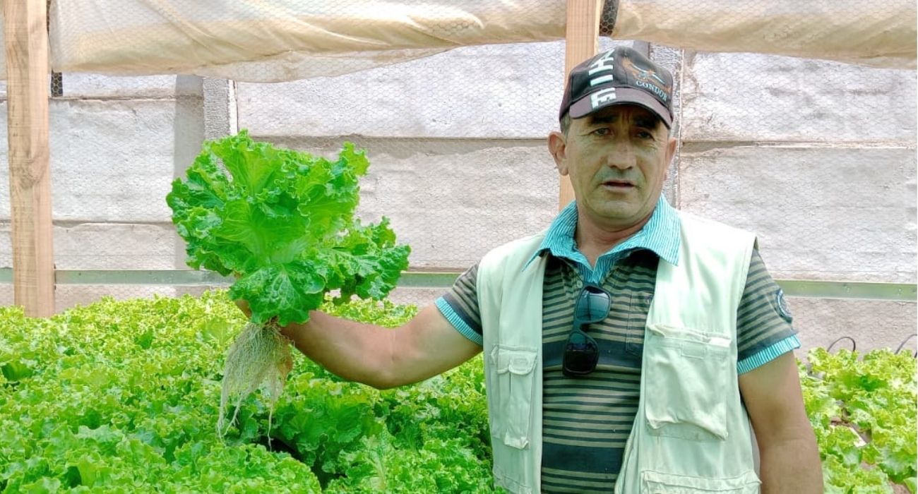 Marcos Arias y el sueño de producir lechuga para toda la región