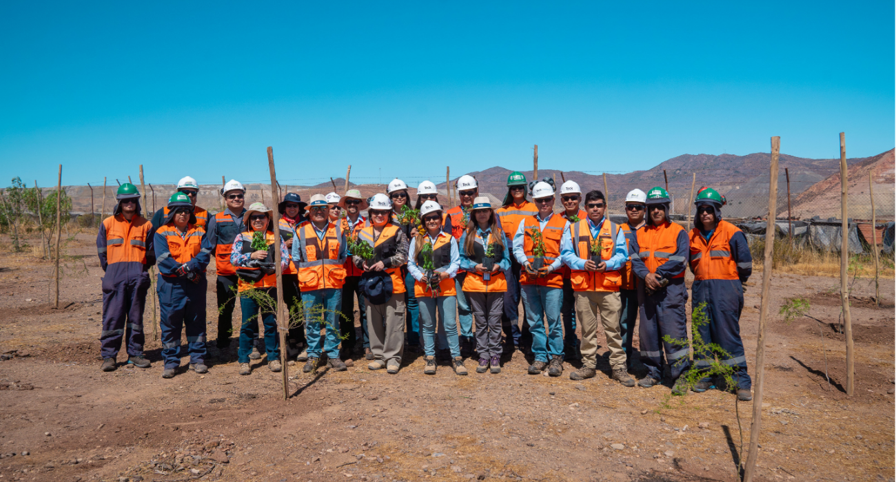 Teck Carmen de Andacollo compensa uso de papel con plantación de especies nativas